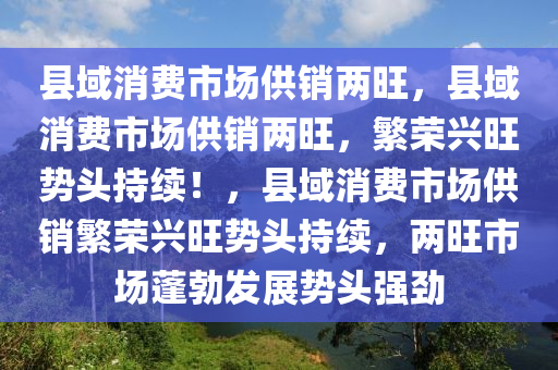 县域消费市场供销两旺，县域消费市场供销两旺，繁荣兴旺势头持续！，县域消费市场供销繁荣兴旺势头持续，两旺市场蓬勃发展势头强劲今晚必出三肖2025_2025新澳门精准免费提供·精确判断