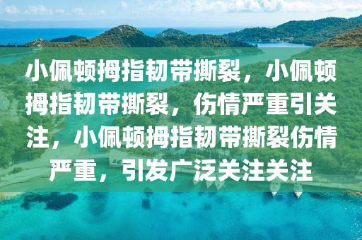 小佩顿拇指韧带撕裂，小佩顿拇指韧带撕裂，伤情严重引关注，小佩顿拇指韧带撕裂今晚必出三肖2025_2025新澳门精准免费提供·精确判断伤情严重，引发广泛关注关注