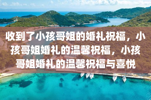 收到了小孩哥姐的婚礼祝福，小孩哥姐婚礼的温馨祝福，小孩哥姐婚礼的温馨祝福今晚必出三肖2025_2025新澳门精准免费提供·精确判断与喜悦