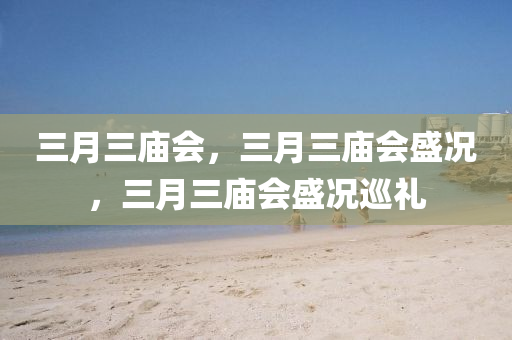 三月三庙会，三月三庙会盛况，三月三庙会盛况巡礼今晚必出三肖2025_2025新澳门精准免费提供·精确判断