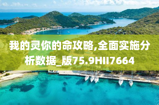 我的灵你的命攻略,全面实施分析数据_版75.9HII7664今晚必出三肖2025_2025新澳门精准免费提供·精确判断