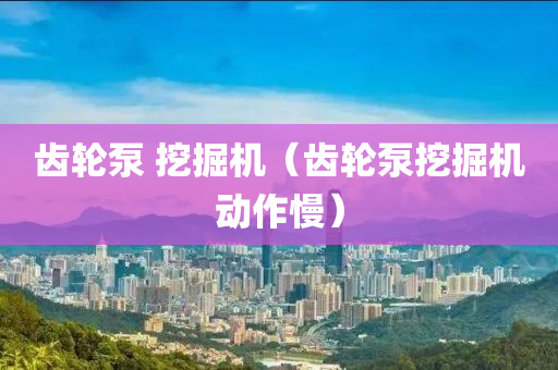 齿轮泵 挖掘机（齿轮泵挖掘今晚必出三肖2025_2025新澳门精准免费提供·精确判断机动作慢）