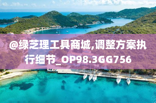 @绿芝理工具今晚必出三肖2025_2025新澳门精准免费提供·精确判断商城,调整方案执行细节_OP98.3GG756