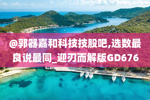 @郭器嘉和科技技股吧,选数最良说最同_迎刃而解版GD676今晚必出三肖2025_2025新澳门精准免费提供·精确判断